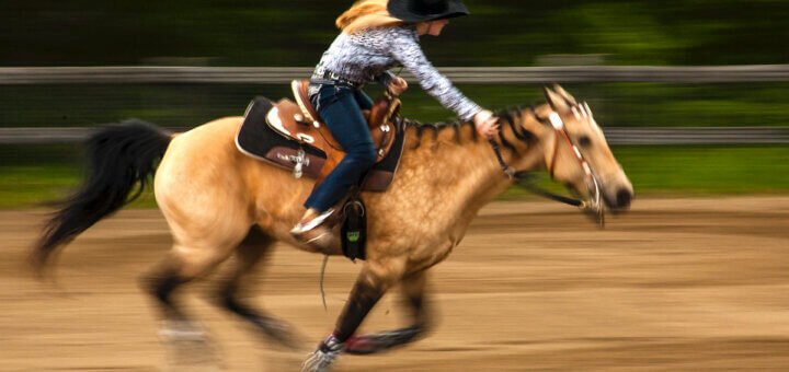 La tecnologia è un cavallo Thich Nhat Hanh
