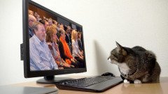 mindfulness online