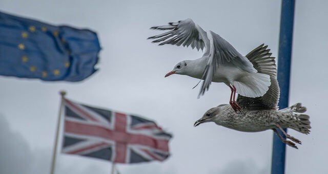 Welsh photographs, The Brexit divide (N11 21)