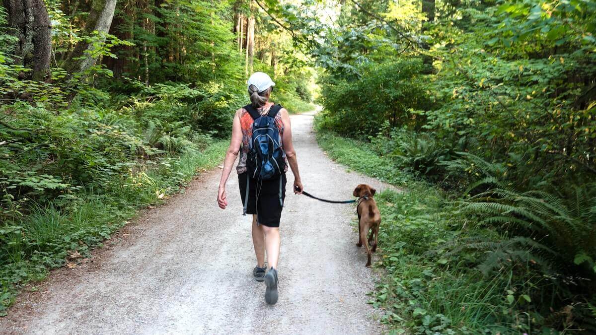 Meditazione camminata in montagna