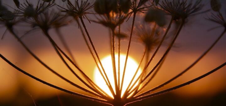 l'amore è il sole