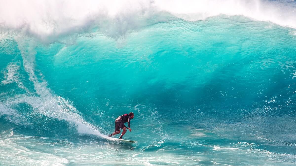 Non puoi fermare le onde, ma puoi imparare il surf
