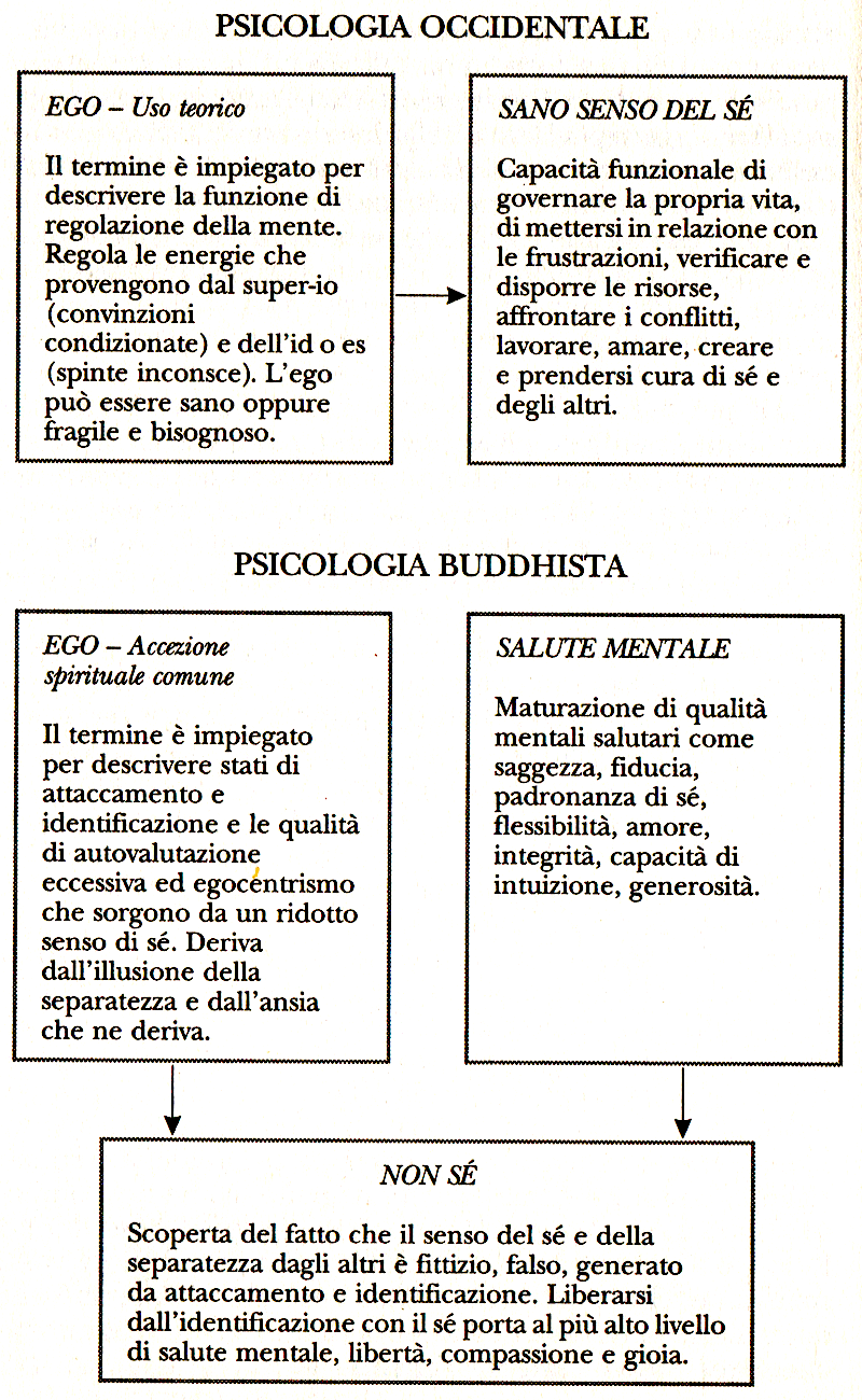psicologia occidentale e psicologia buddhista psicologia occidentale e psicologia buddhista
