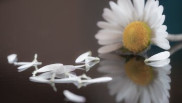 non perdere mai la speranza