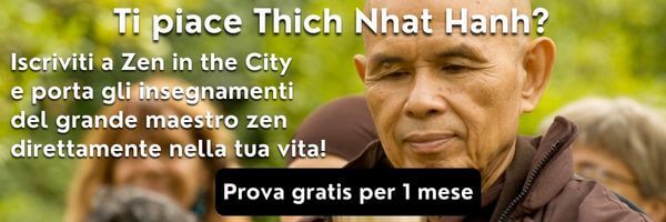 Ti piace Thich Nhat Hanh?