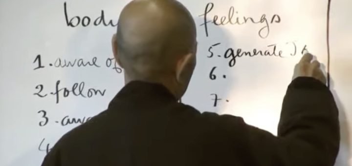 formazioni mentanli sankhara thich nhat hanh